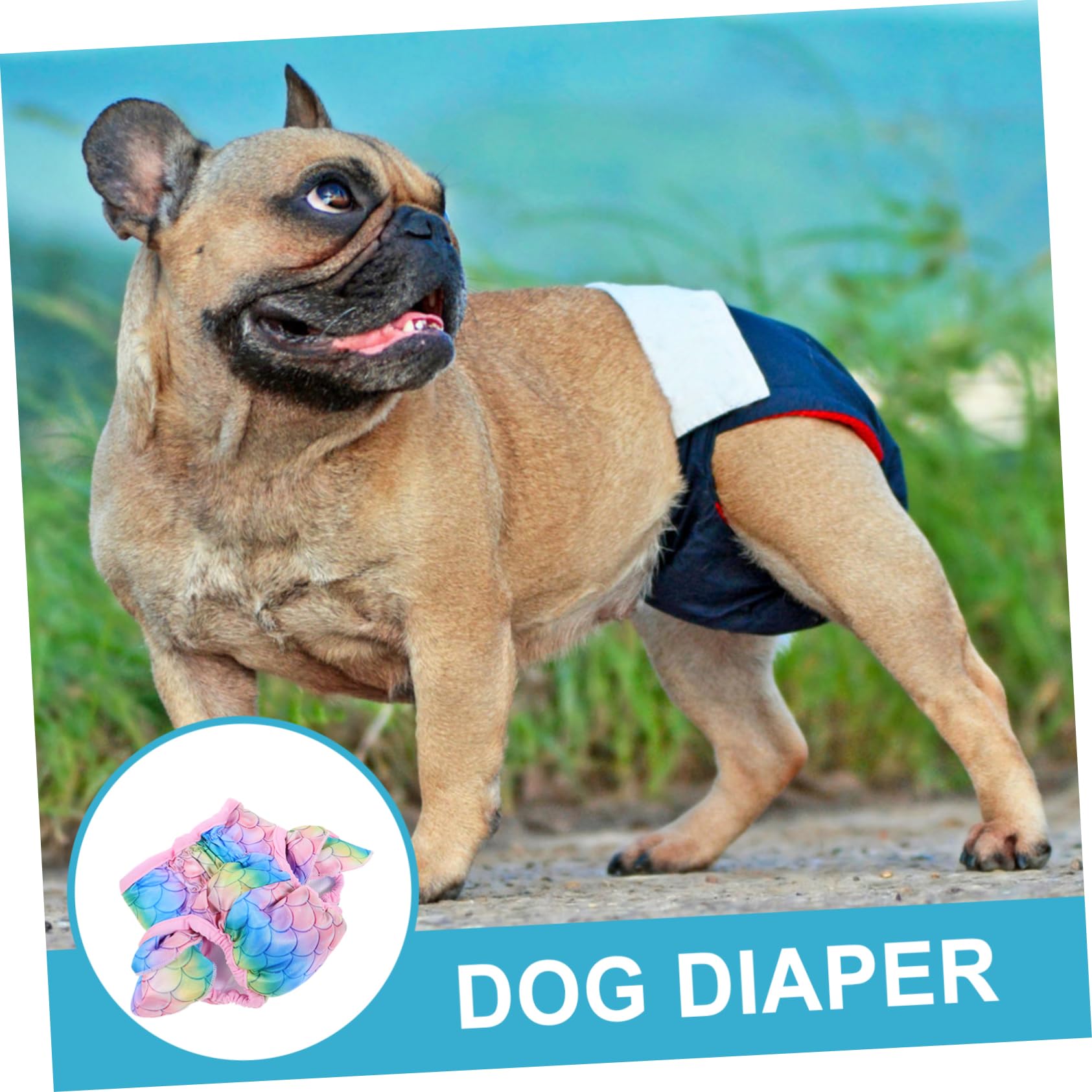 YARNOW 4piezas Absorbentes Reutilizables para Perros Pantalones Sanitarios Decorativos para Hembras para Perros Celo y Recuperación Material Transpirable y Cómodo Estilo