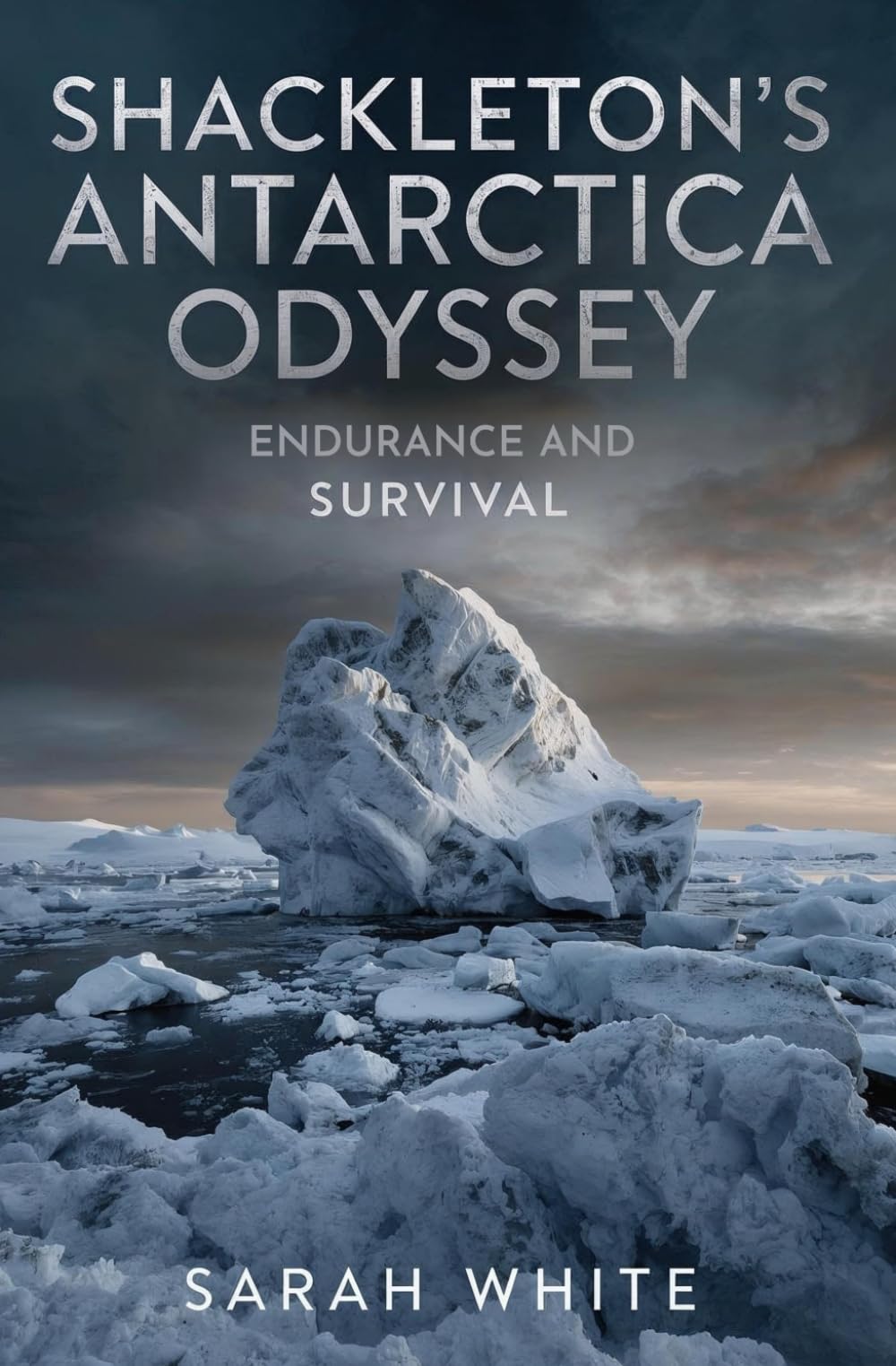 Shackleton's Antarctic Odyssey: Endurance and Survival