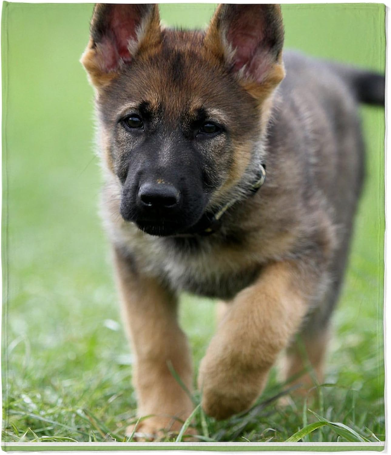 CafePress German Shepherd Christmas Throw Blanket Super Soft Fleece Plush Throw Blanket, 60"x50"