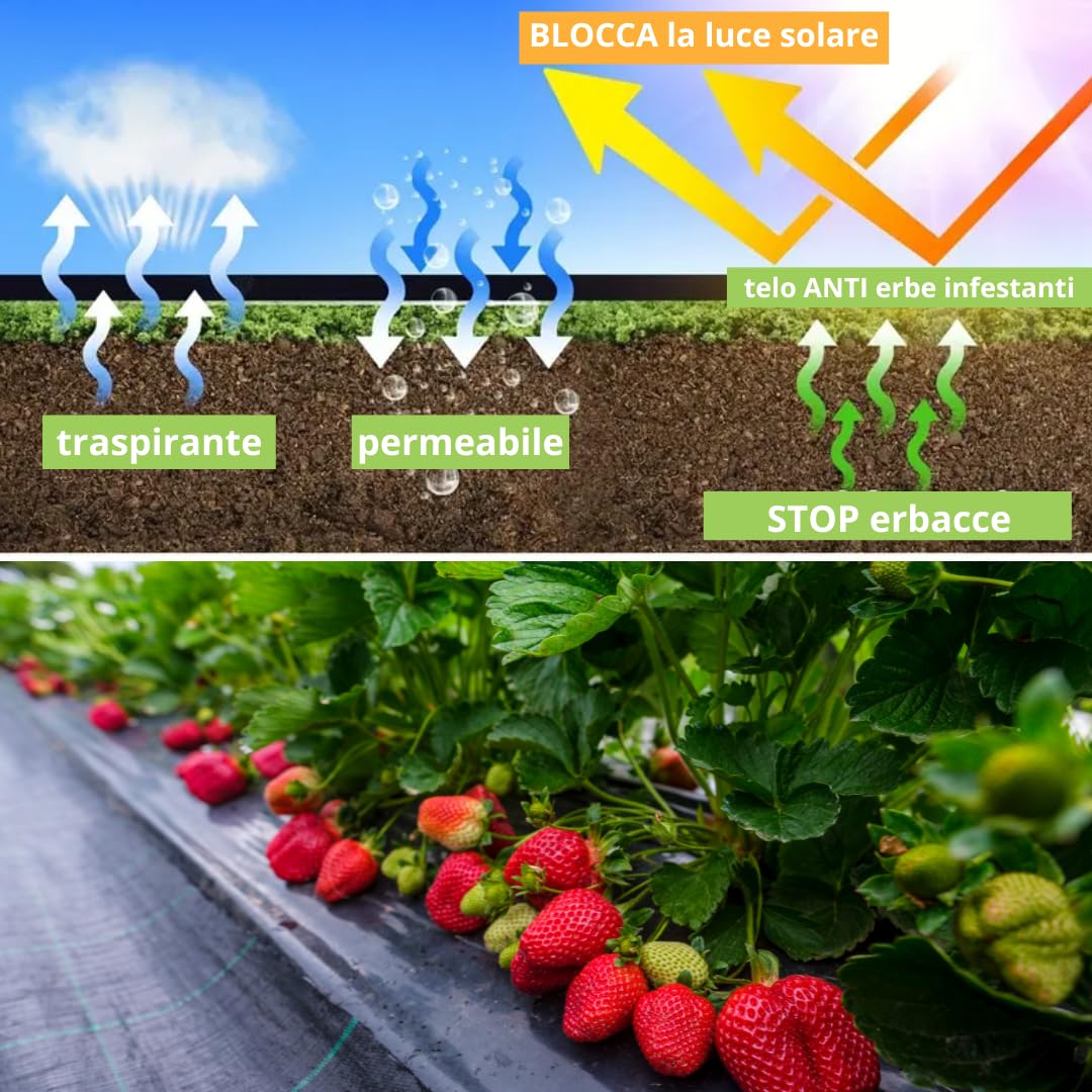 Tata Home Telo Pacciamatura 1x100 Metri 100g/m² Telo Anti Erbacce per Orto Giardino Tessuto Permeabile all'Acqua Stabilizzazione ai Raggi UV Barriere Contro Le Erbe Infestanti Colore Nero