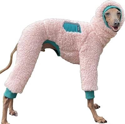 Suéter de Galgo Italiano con Cuello Alto, cálido Forro Polar, Ropa para Abrigo de Perro (M, Verde Pkt)