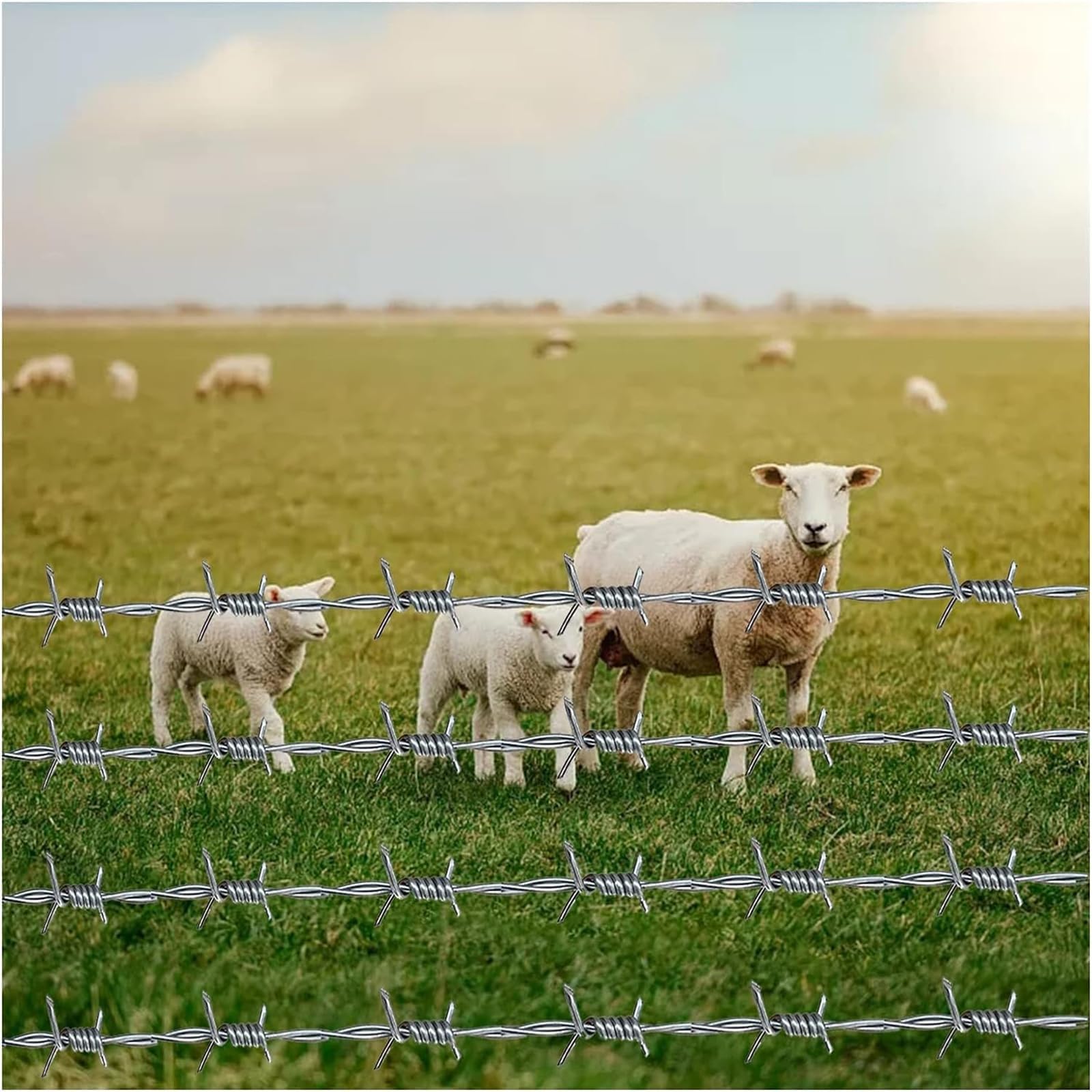 Rollo Alambre Espino Galvanizado Caliente - 4 Puntas para Valla Protección - Cortable y Resistente - Uso Rural/Campo/Balcones,2.2mm,100m(328ft)