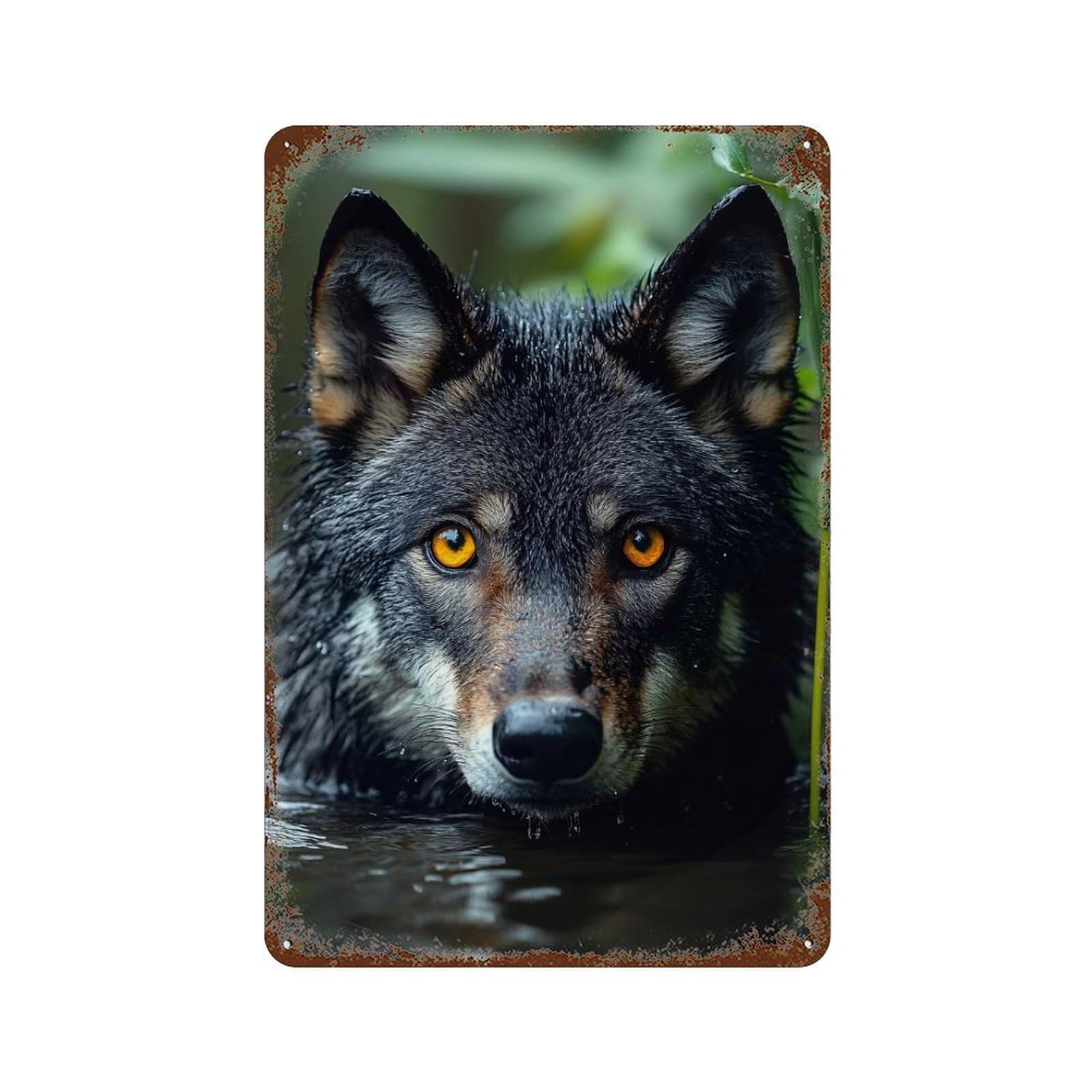 Wolf Portrait in Water 11.8"x7.9" Distressed Metal Wall Sign, Shabby Chic Decor for Shed, Workshop And Garage Wall Decor