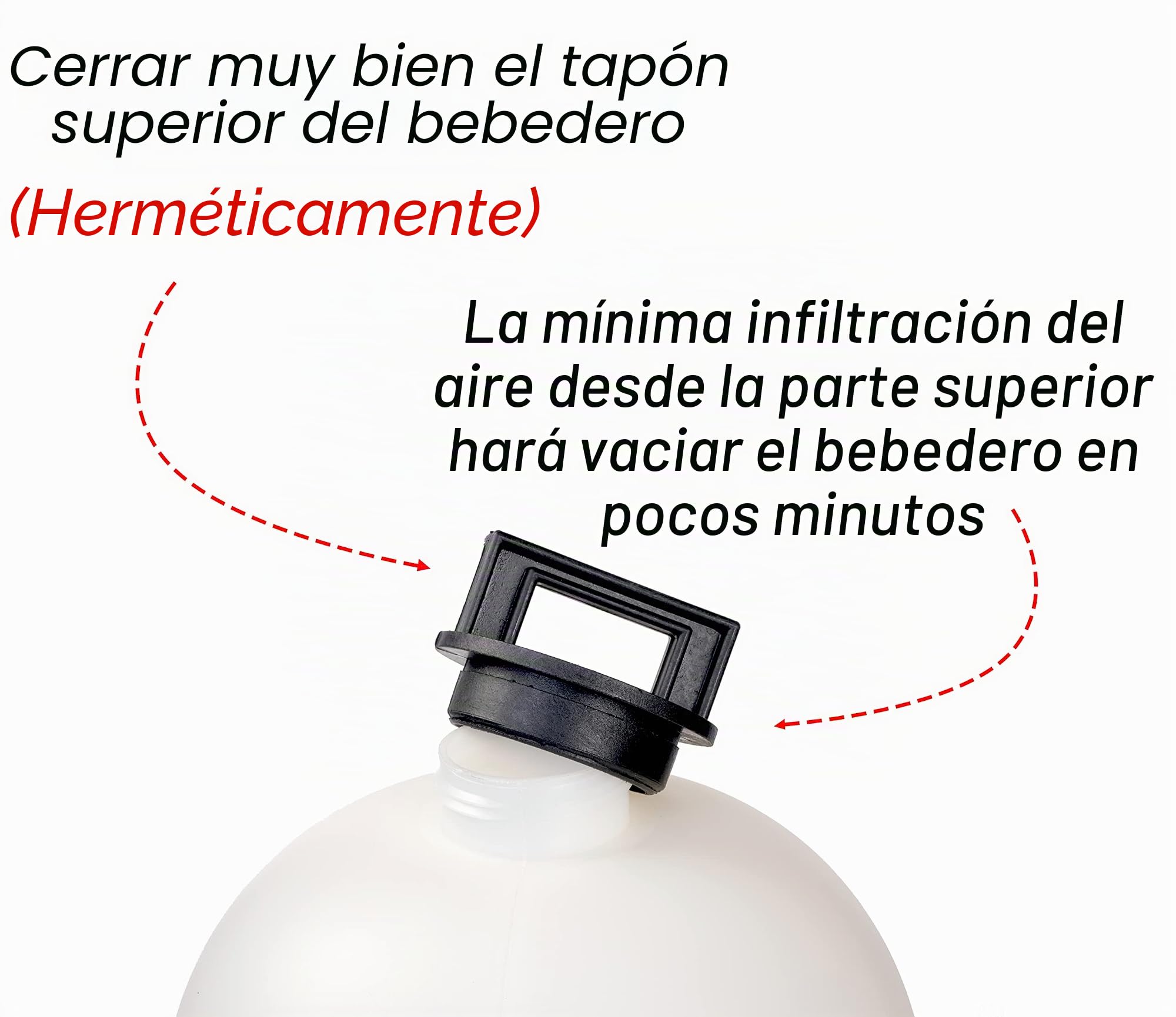 Zootec Bebedero para gallinas, Pollos, Patos, Gansos, Gansos, automático de plástico con depósito de 30 litros, fácil de Rellenar, Mover y Limpiar [Made in Italy] + Guantes Talla 9