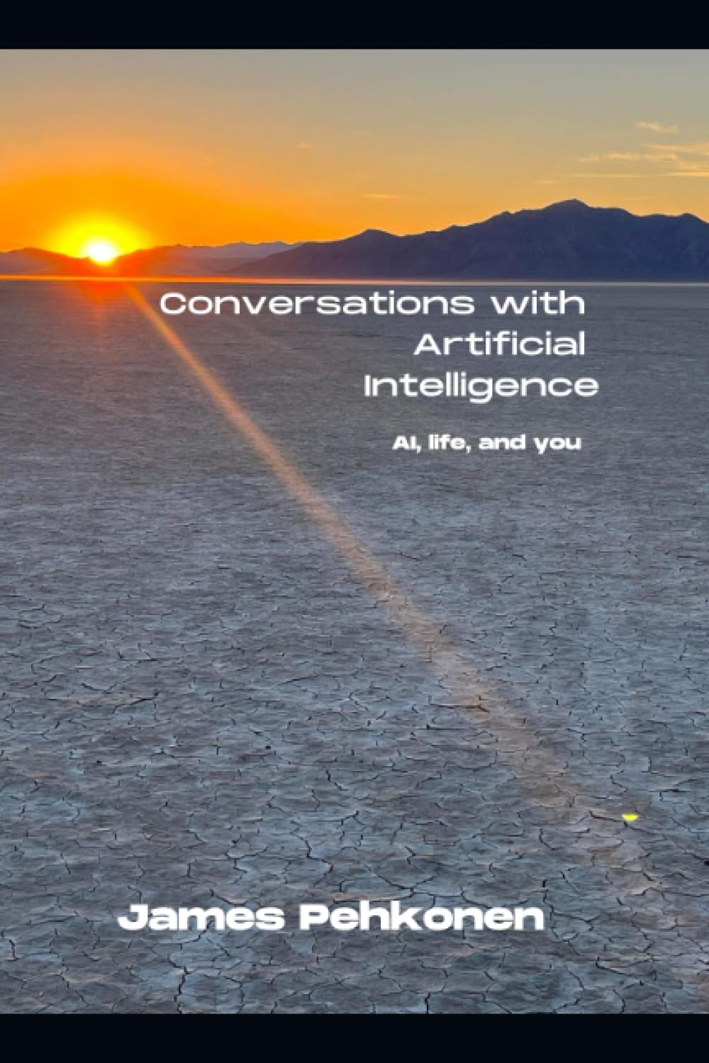 Conversations with Artificial Intelligence: AI, life, and you.