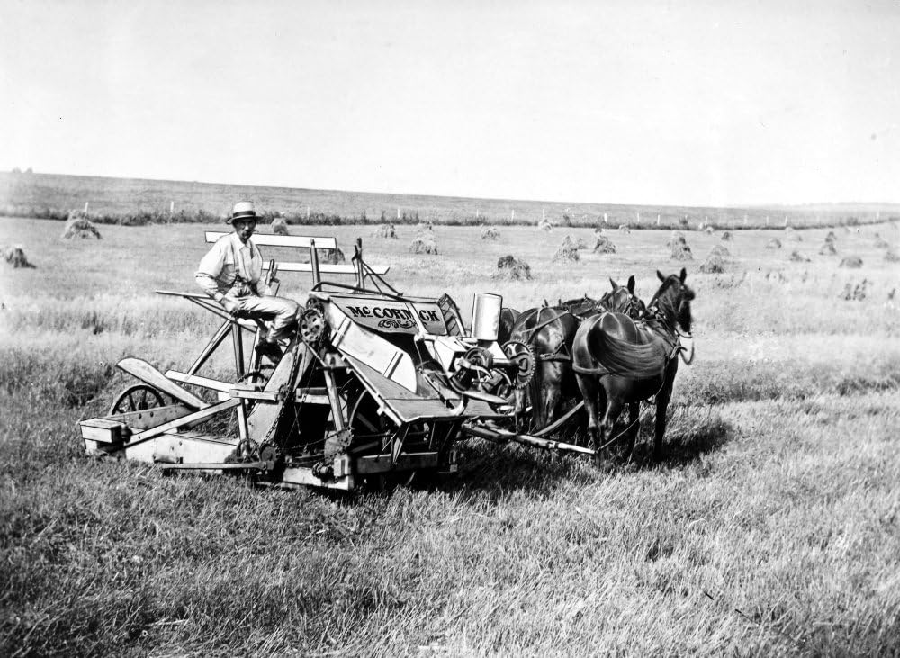 McCormick Harvester Ndemonstration of The HorseDrawn Harvester and Binder Invented by Cyrus