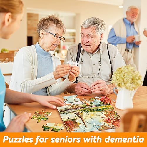 Miniatura 6 de 5 paquetes de rompecabezas grandes de 16 piezas para actividades de productos de Alzheimer de demencia de edad avanzada, rompecabezas de Alzheimer,