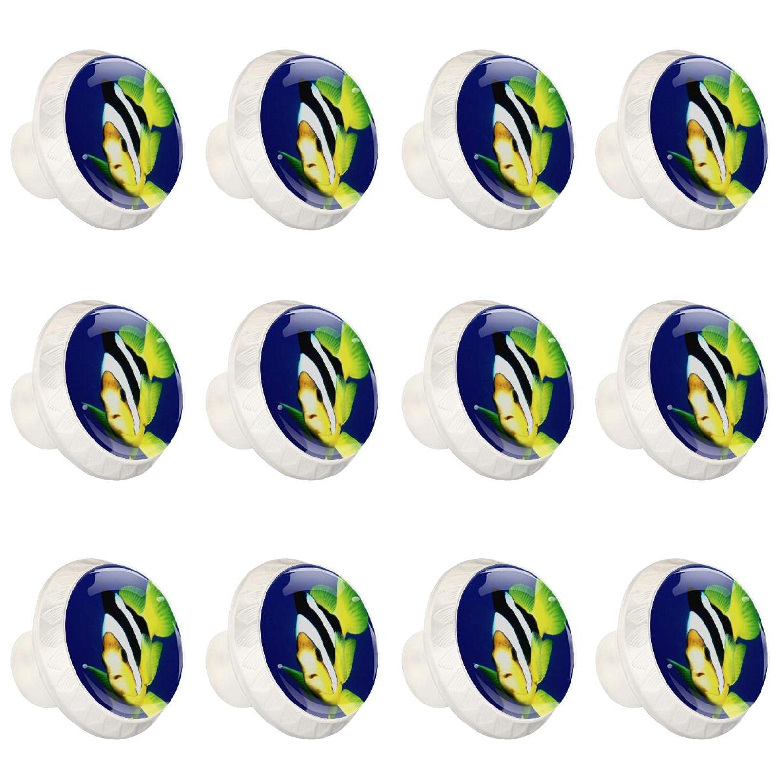 Boutons de placard poisson clown pour rénover une commode et des tiroirs ternes
