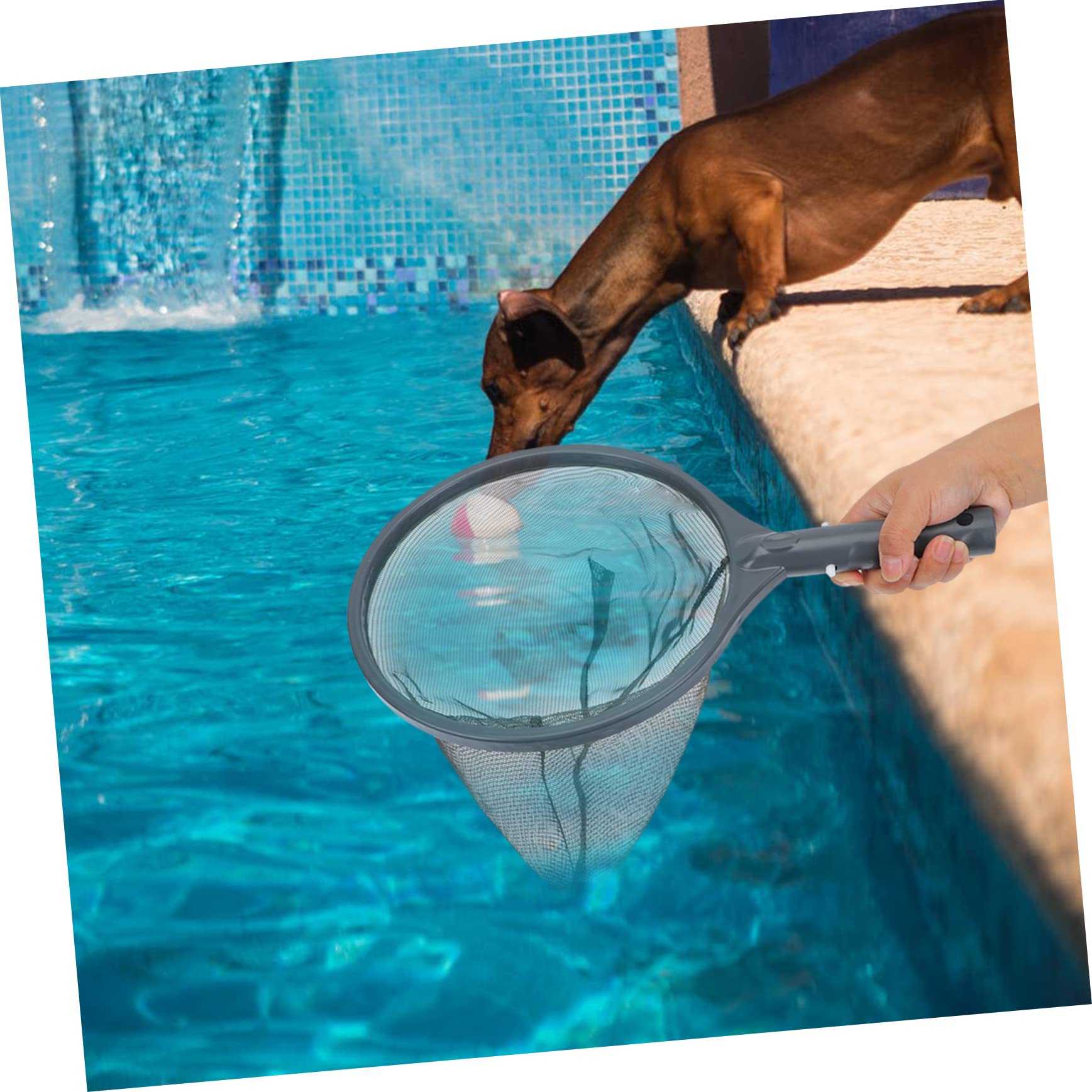 TOYANDONA 2 Piezas Limpieza para Piscina y Estanque Recogehojas Ligera Herramienta Duradera para Limpiar Desechos de Piscina Estanque y