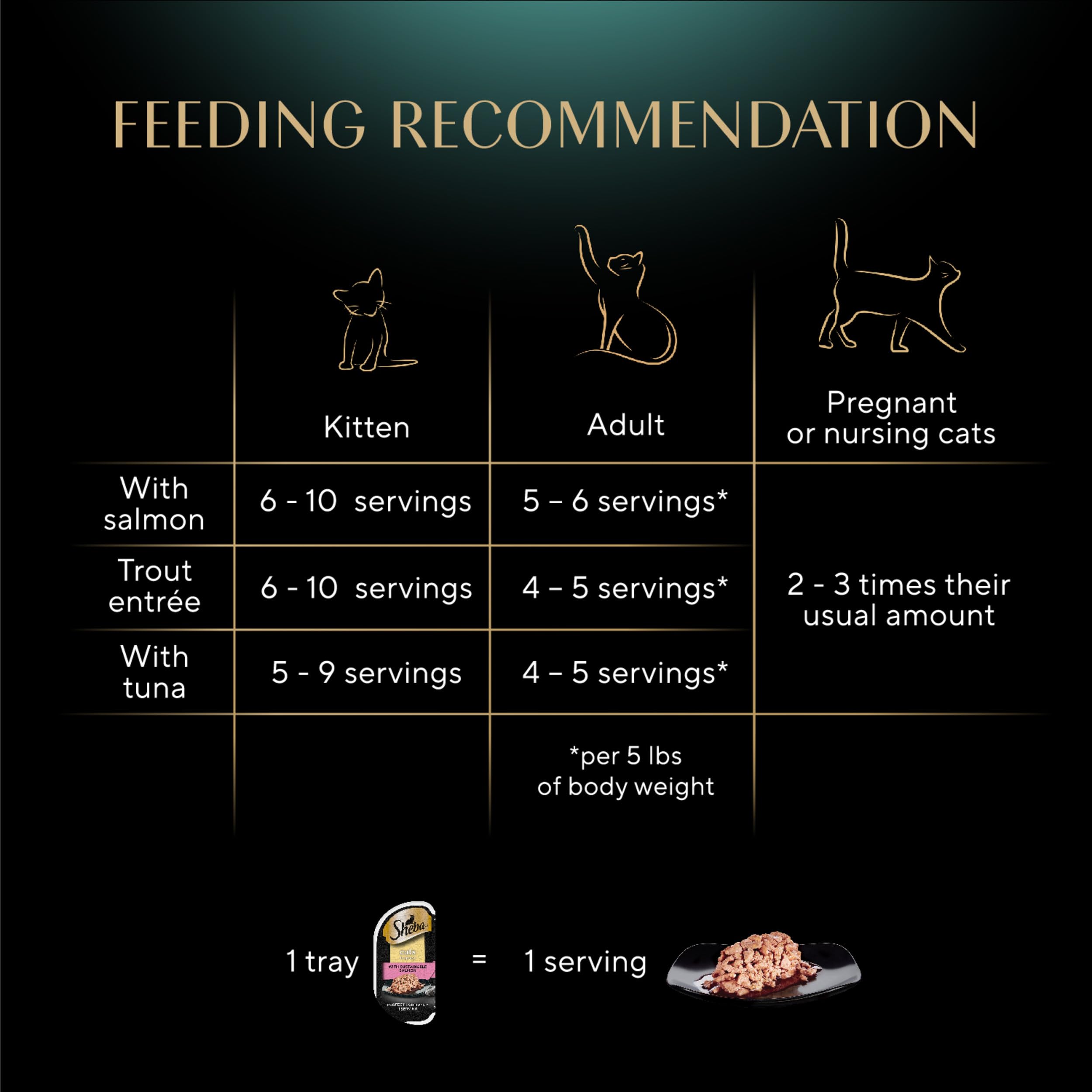 Sheba Perfect Portions Cuts in Gravy Wet Cat Food Trays (24 Count, 48 Servings), Salmon, Trout, and Sustainable Tuna Entrée Variety Pack, Easy Peel Twin-Pack Trays