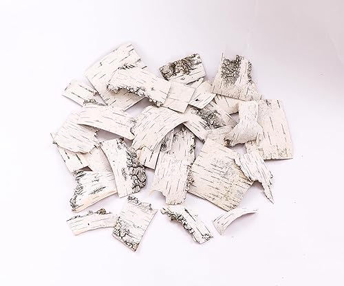 Miniatura 3 de Hojas de corteza de abedul natural para decoración de manualidades de diferentes tamaños de hojas de abedul (30 hojas de corteza de abedul)