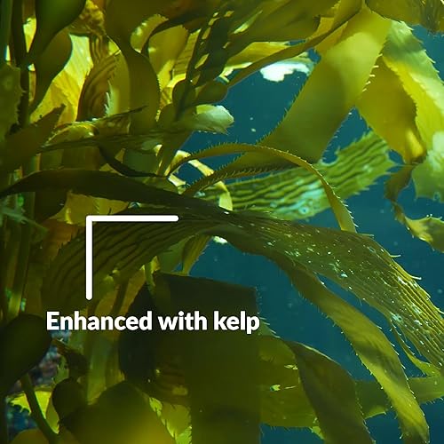 Miniatura 5 de SUPERthrive VI30155 - Solución de vitaminas para plantas, 1 pinta, paquete individual