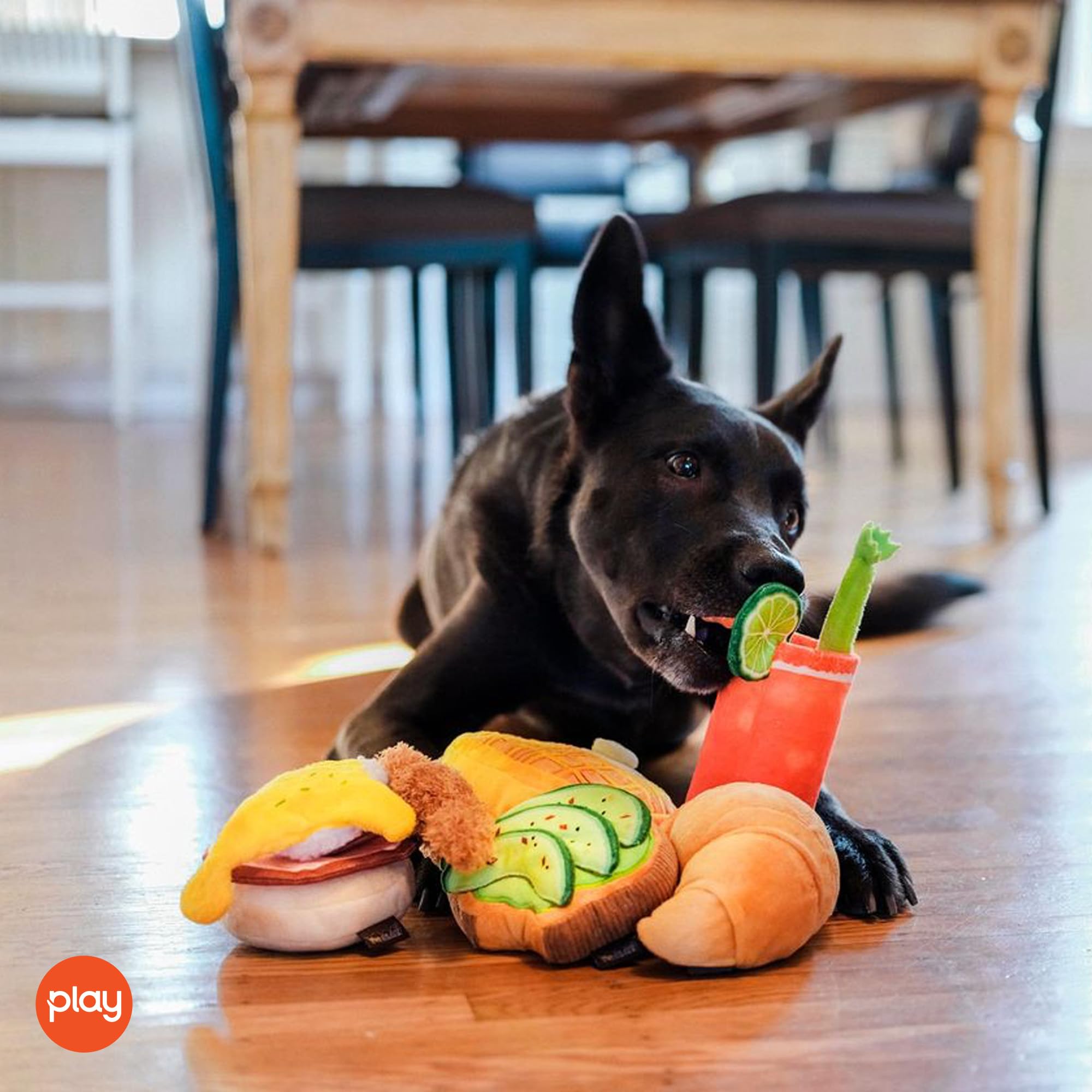 P.L.A.Y. Pet LIFESTYLE and You Barking Brunch Collection - Juego de cinco piezas, varios tamaños