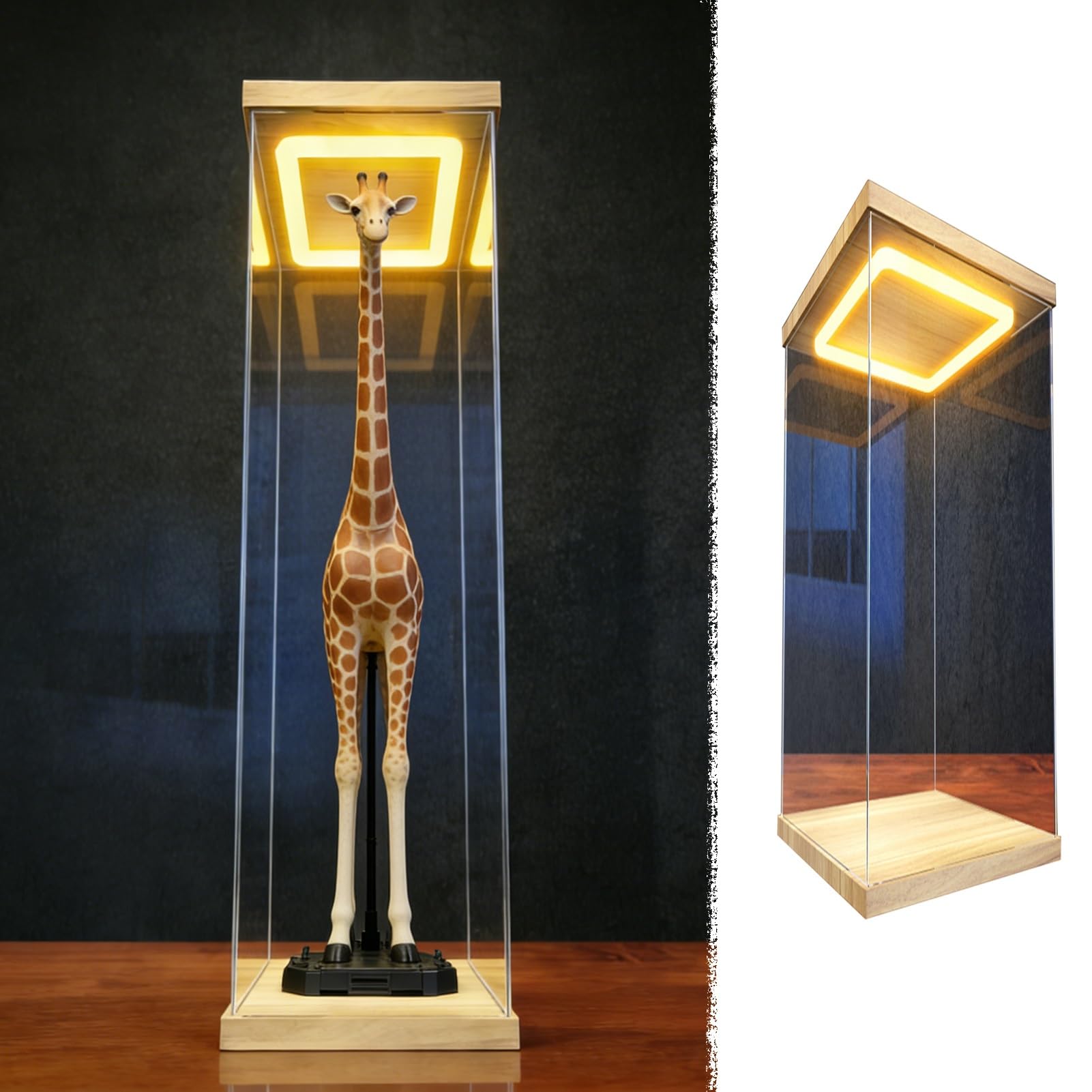 Teca Plexiglass Vetrina Espositiva in Acrilico Trasparente Extra Alta, Scatole Decorative da Scrivania a Vista con Luce LED e Base, Contenitori per Oggetti(10x10xH35cm/4x4x14")