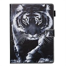 Amazon Kindle  10  2019 6    Kindle 2019     Kindle 658