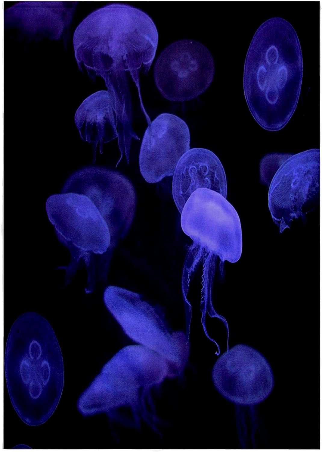 3dRose Deep Violet Jellyfish in Dark Ocean 22x30 Bath Hand Pool Towel