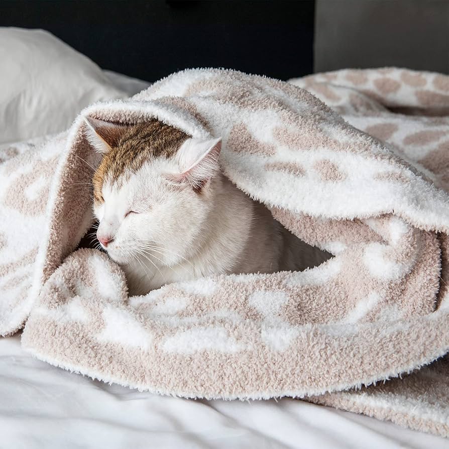 Amazon.com: MH MYLUNE HOME Ultra Soft Leopard Throw Blanket