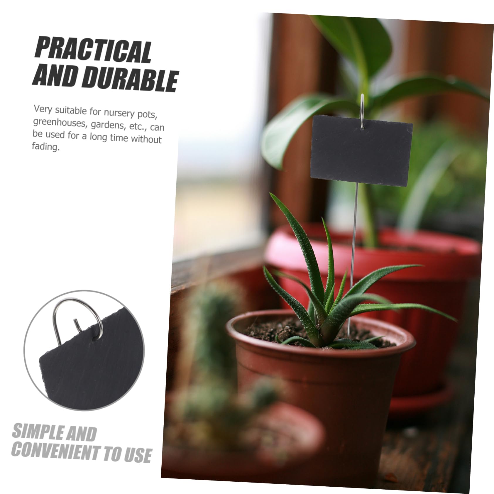 BESPORTBLE 1ensemble Étiquettes De Plantes Inoxydable De Marqueurs De Jardin Décorations De Jardin Uniques Pour Pots De Fleurs Et