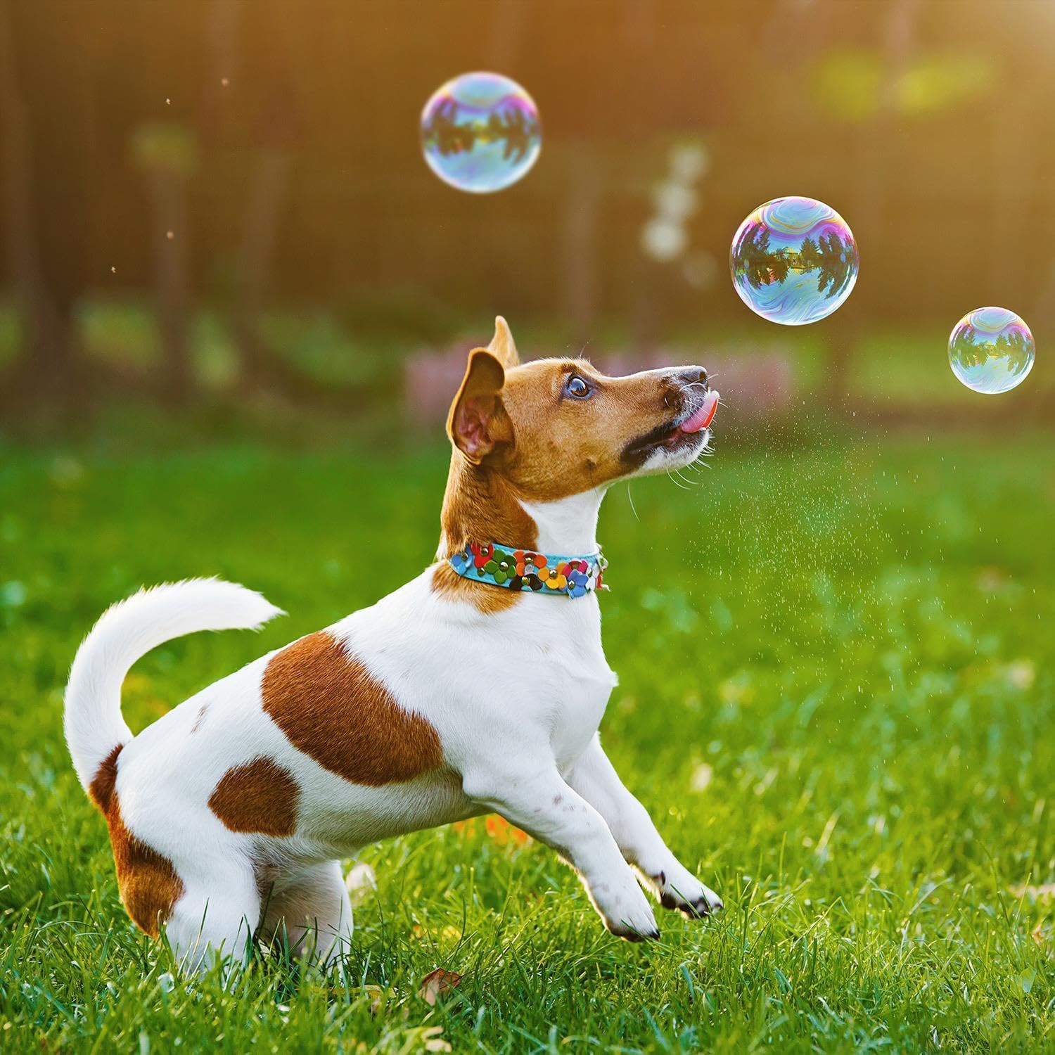 View 2
