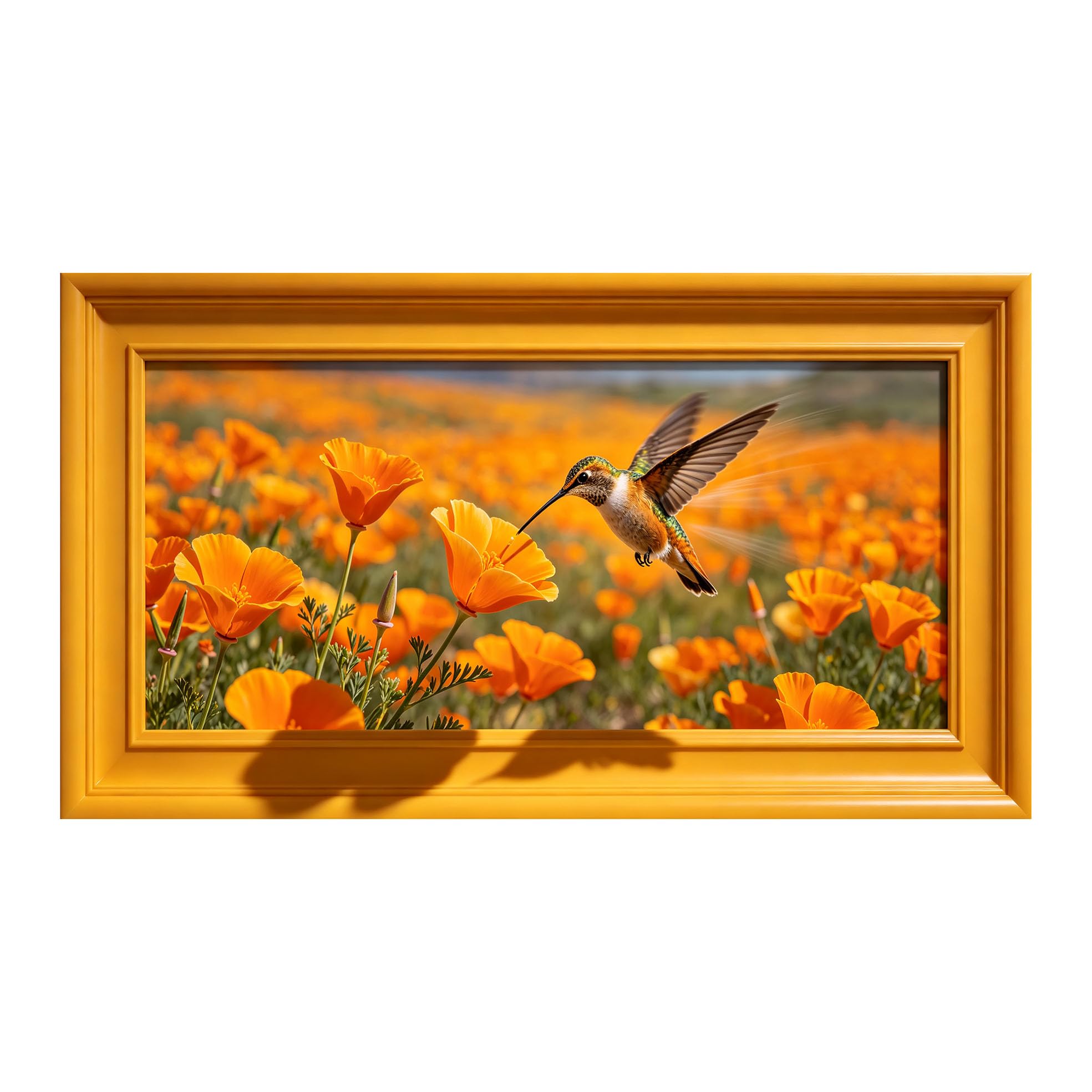 Yzpallescene 3D Framed Wall Art 50cm×100cm Hummingbird Botanical Floral Meadow Watercolor Large Size SelfAdhesive Removable Wall Decor Prints Artwork for Living Room Bedroom Office