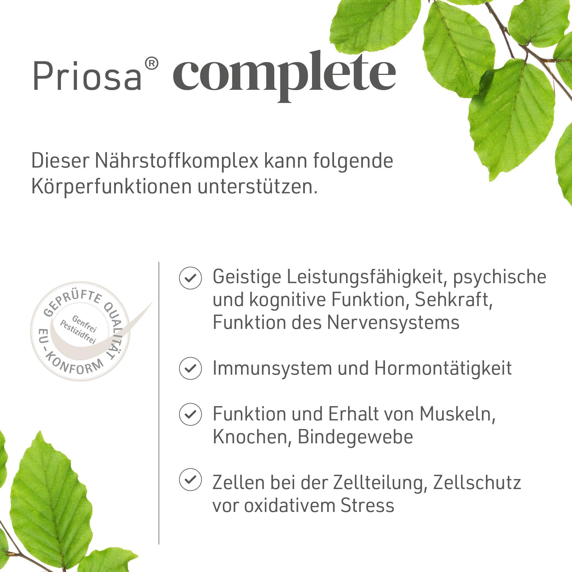 Priosa® complete 250 Multivitamin Kapseln I Unterstützt Energiestoffwechsel, Immunsystem und geistige Leistung I 42 Pflanzenextrakten, 16 Aminosäuren, 13 Mineralien & 13 Vitaminen | vegan