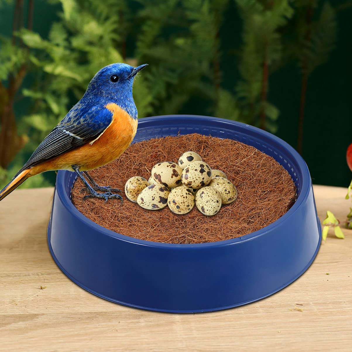Yardwe Nido de Pájaro en Jaula Resistente al Desgaste para Palomas y Pájaros, Nido de Cría Doméstico de Plástico para Jardinería y Decoración