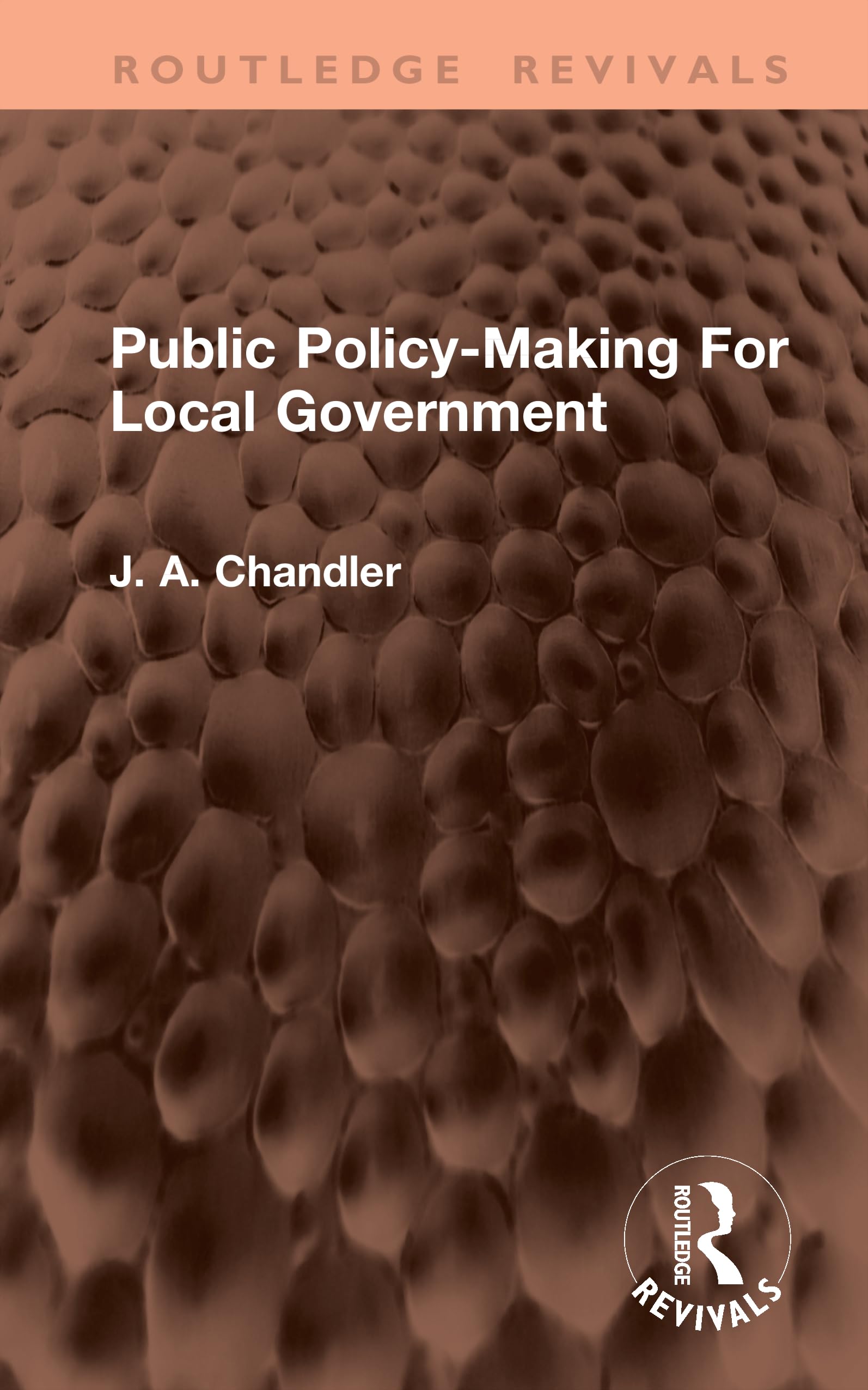 Public Policy-Making For Local Government (Routledge Revivals)