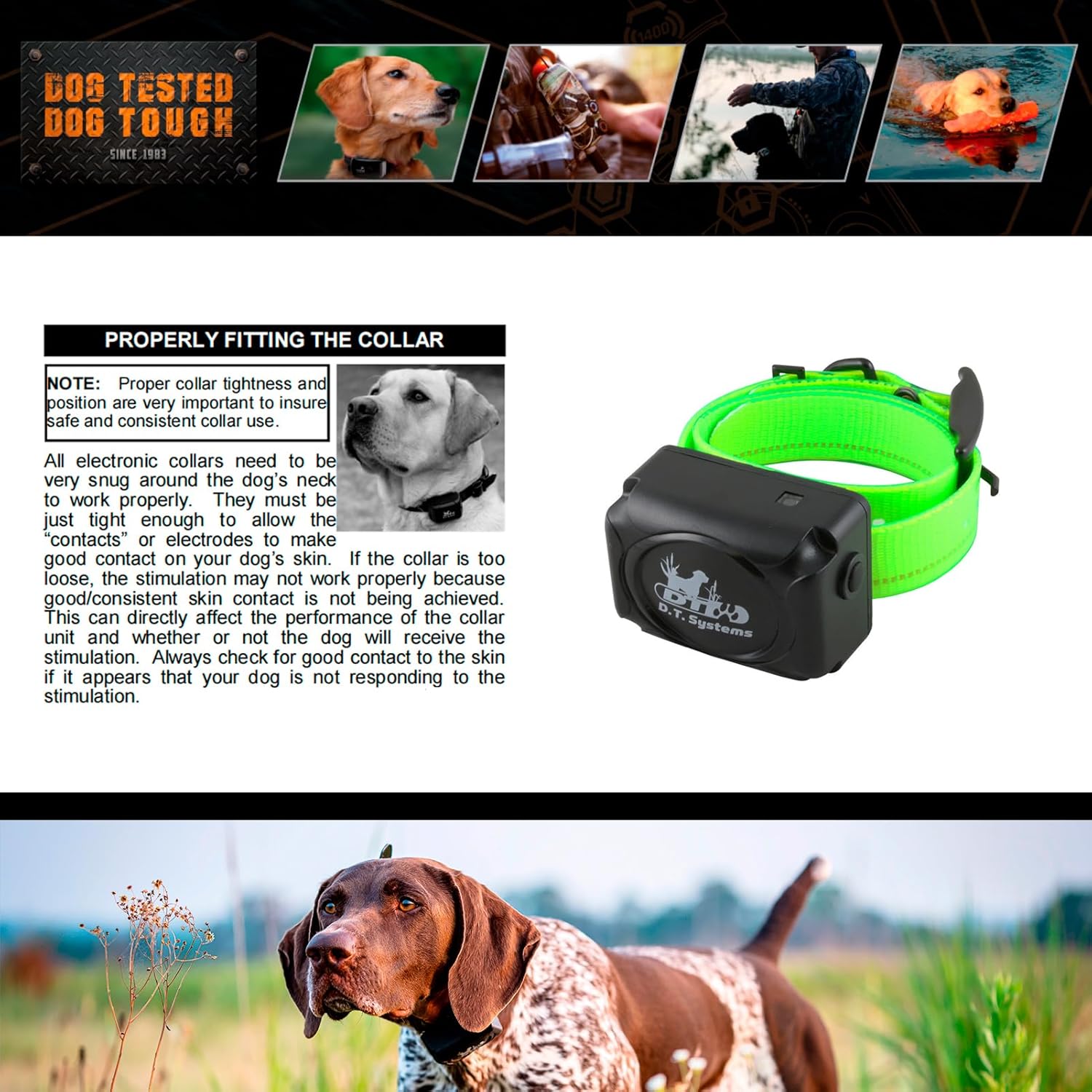 DT Systems H2O 1810, 1820, 1830 Plus Series Add-On/Replacement Collar Receiver, Waterproof Rechargeable Remote Hunting Dog Training Additional E-Collar, 1800-Yard Range, 16 Stimulation Levels, Green