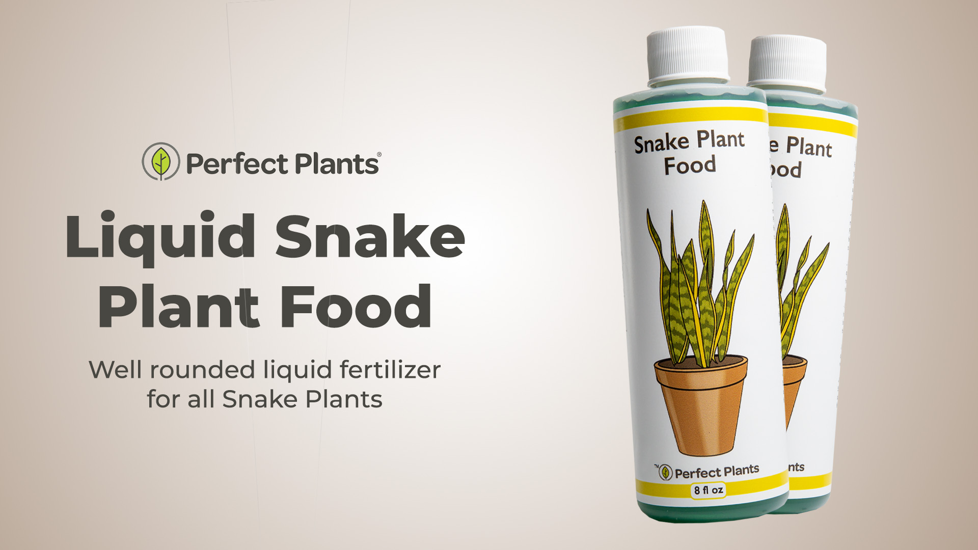Amazon.com : Perfect Plants Liquid Snake Plant Fertilizer | 8oz. of Premium  Concentrated Sansevieria Food | Use with Mother-in-Laws Tongue and Other  Varieties : Patio, Lawn & Garden