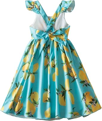 Nileafes Flower Girl Floral Printed Ruffle Dress Summer Beach Party Holiday Casual Sundress