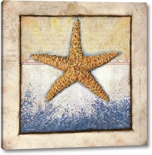 Starfish by Ed Wargo - 16" x 16" Canvas Art Print Gallery Wrapped - Ready to Hang Starfish by Ed Wargo - 16" x 16" Canvas Art Print Gallery Wrapped - Ready to Hang