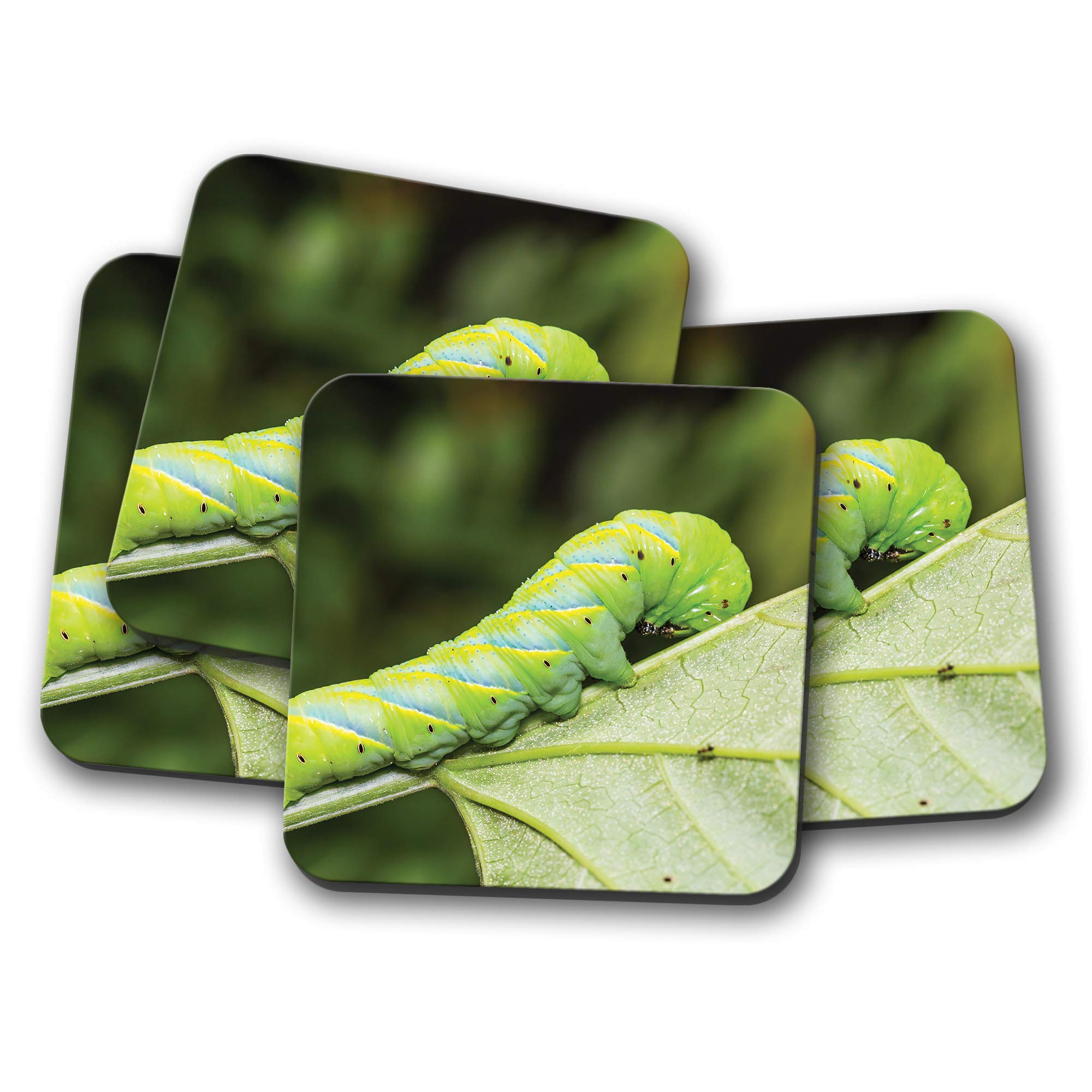 Destination Vinyl Ltd Multicolor 4 Set - Green Caterpillar Coaster - Bug Insect Moth Butterfly Animal #15936