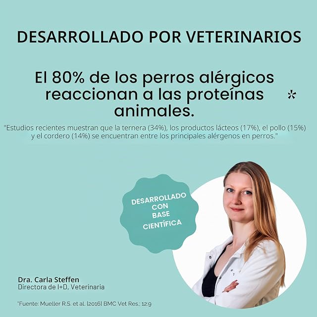 Foto 7 de 8 de VEGDOG Alimentos húmedos veganos adultos para perros adultos con patatas, lentejas y mijo