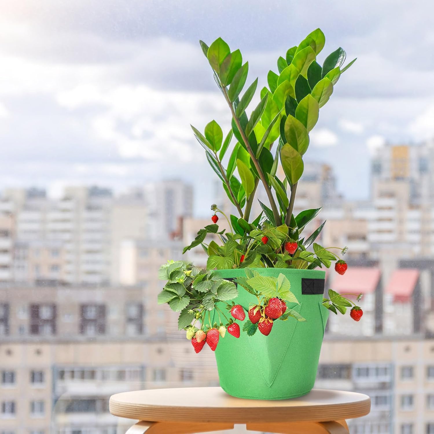 Toyvian 5 Gallon Felt Plant Grow Bag for Strawberry Planter, Breathable and Keeps Plant Cooler in Summer, for Balcony and Stairs Gardening, Sturdy Felt Material Hanging Grow Bag