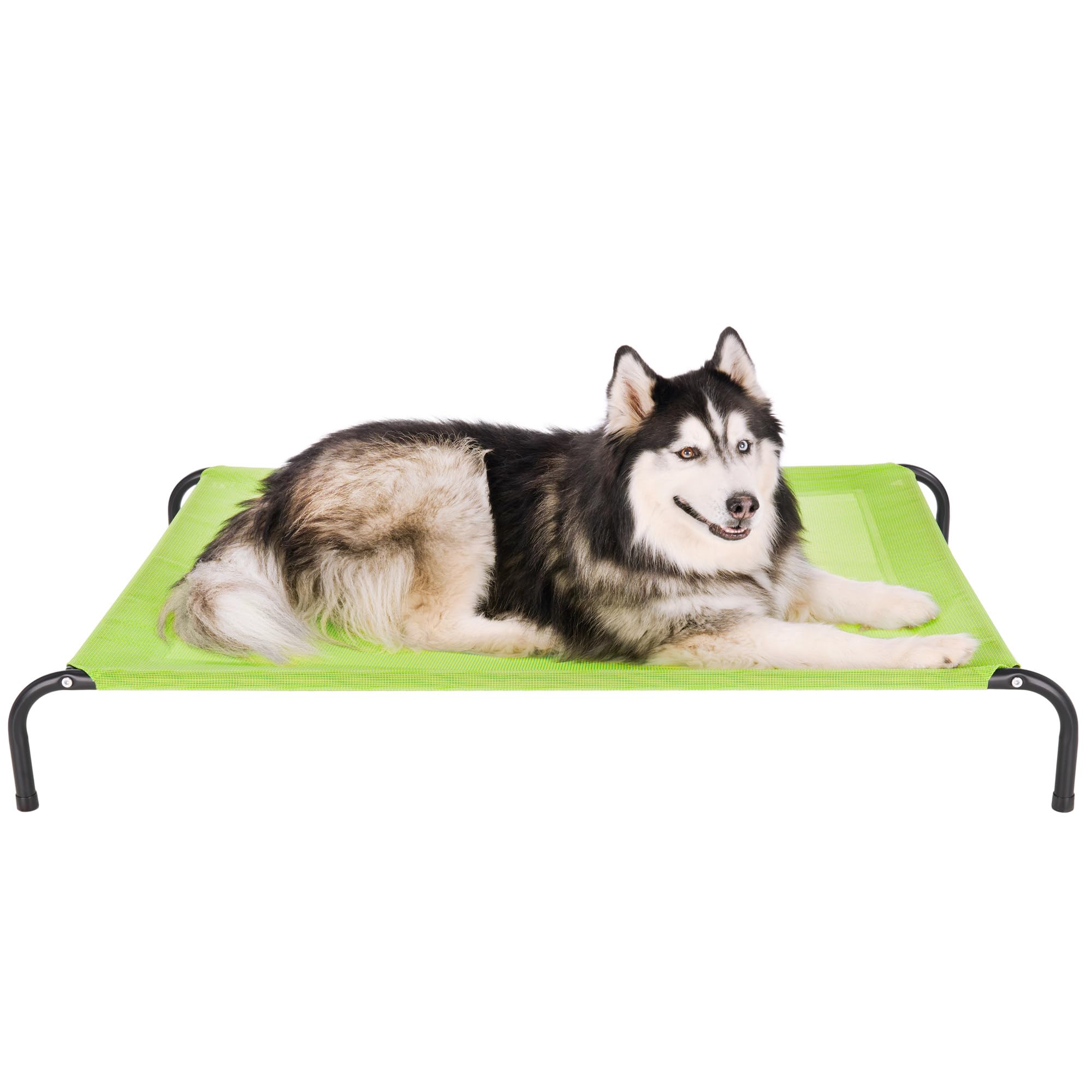 Fuhaven Elevated Pet Bed Cot for Dogs & Cats - Gecko Green, Extra Large