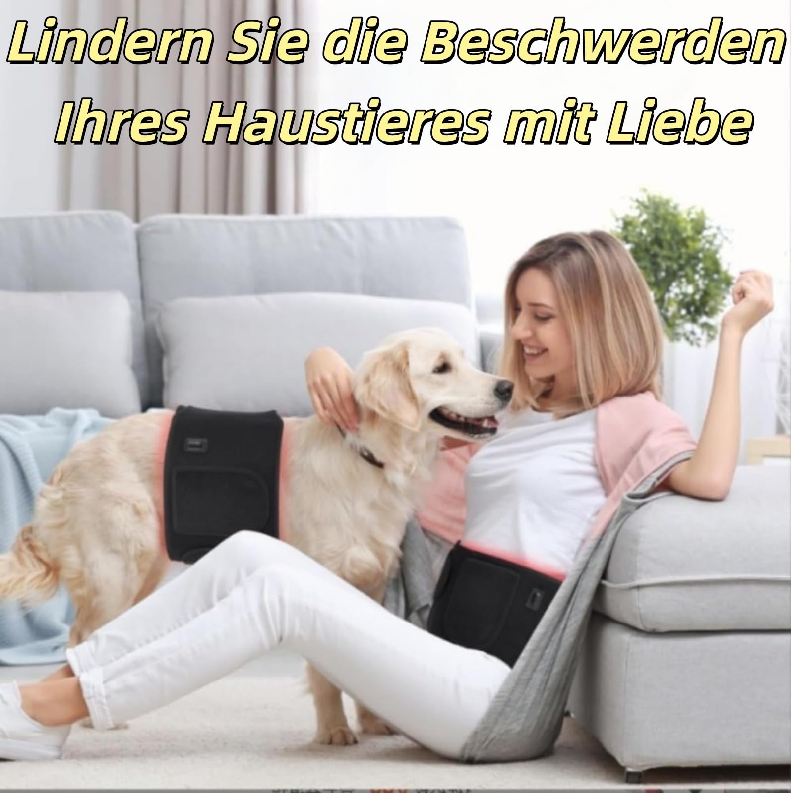 Rotlicht-Therapiematte für Hunde und Katzen, 660nm & 840nm Infrarotrotlichttherapie, Schmerz- & Gelenkunterstützung, Sichere Wärmetherapie, Einfache Anwendung zu Hause