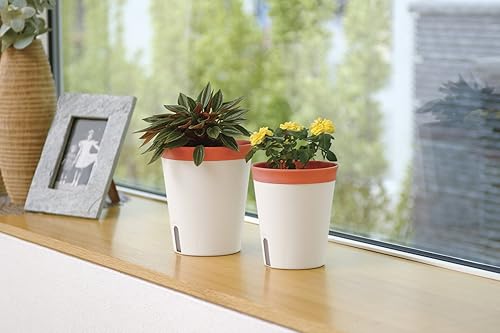 Miniatura 2 de Richell Mielno Plus Pot, Type 15, Orange (O)