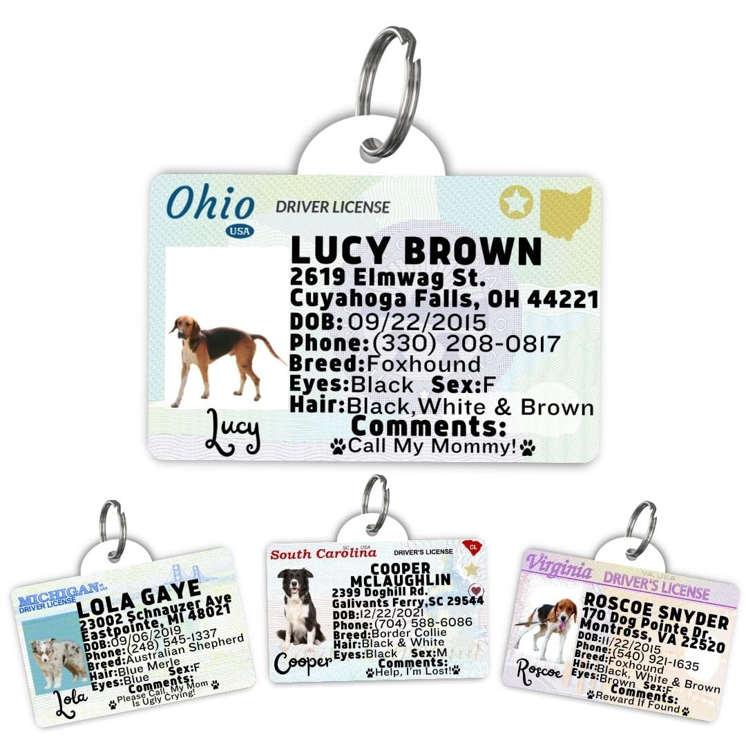 Driver License Custom Dog Tag for Pets and Wallet Card - Dog Tags for Dogs - Dog ID Tag - Personalized Dog ID Tags - Cat ID Tags - Pet ID Tags for Cats - Personalized Pet ID Tags (Ohio, Tag)