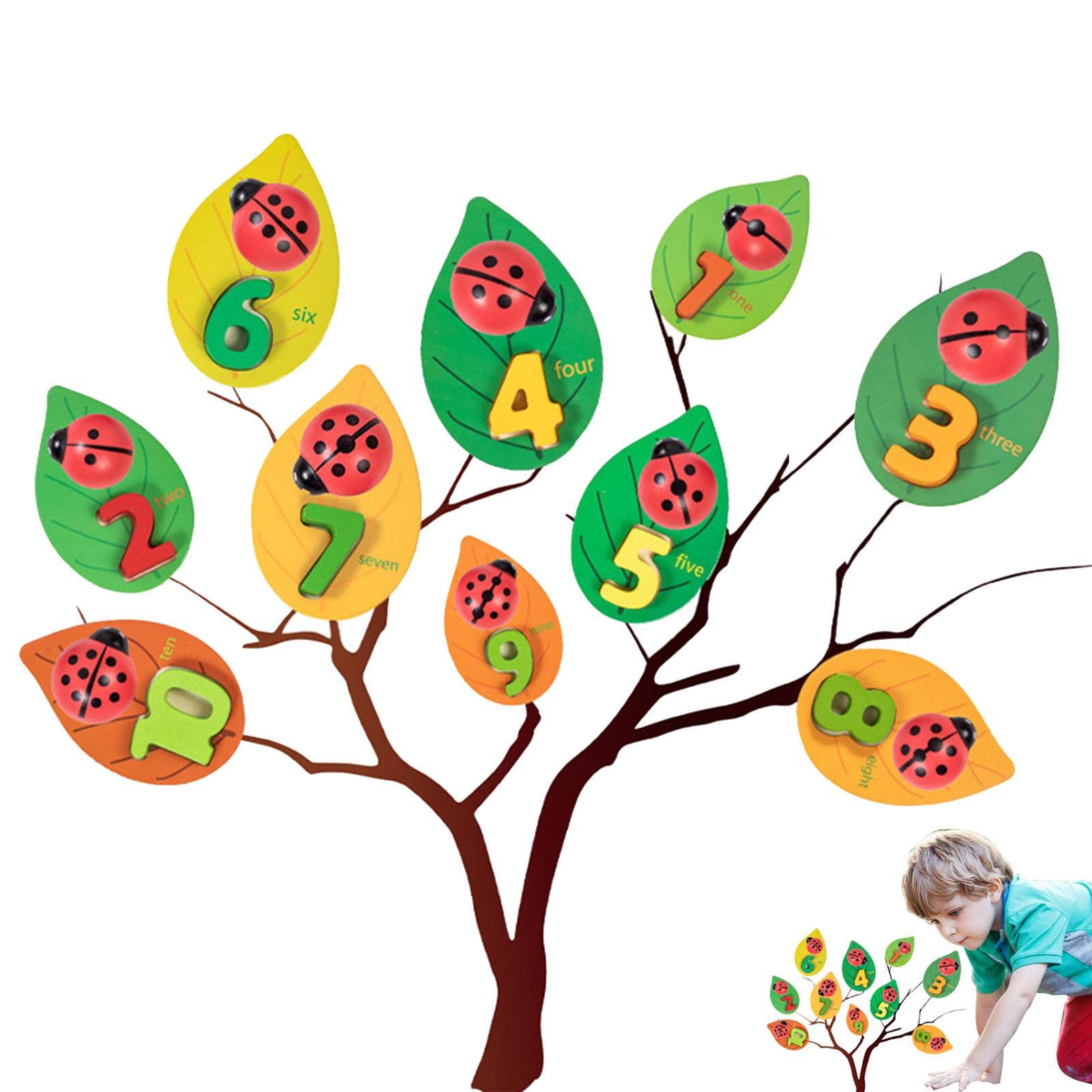 Coccinelle-Compte - Concept pédagogique - Jouet éducatif en Bois pour Enfants de 2, 3, 4, 5 Ans