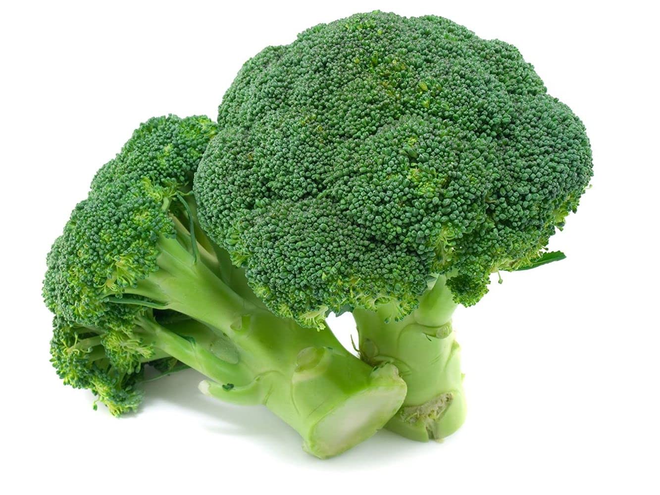 Flare Seeds Broccoli Hybrid Seeds Pack of 290 Seeds