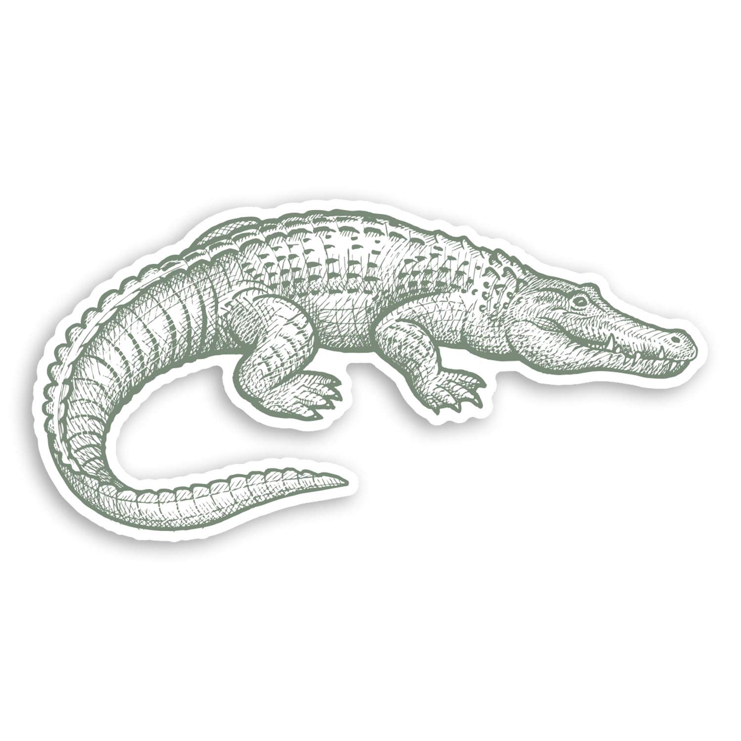 Destination Vinyl Ltd Multi 2 X 10Cm Green Crocodile Vinyl Stickers - Alligator Croc Laptop Sticker #20781 (10Cm Wide)