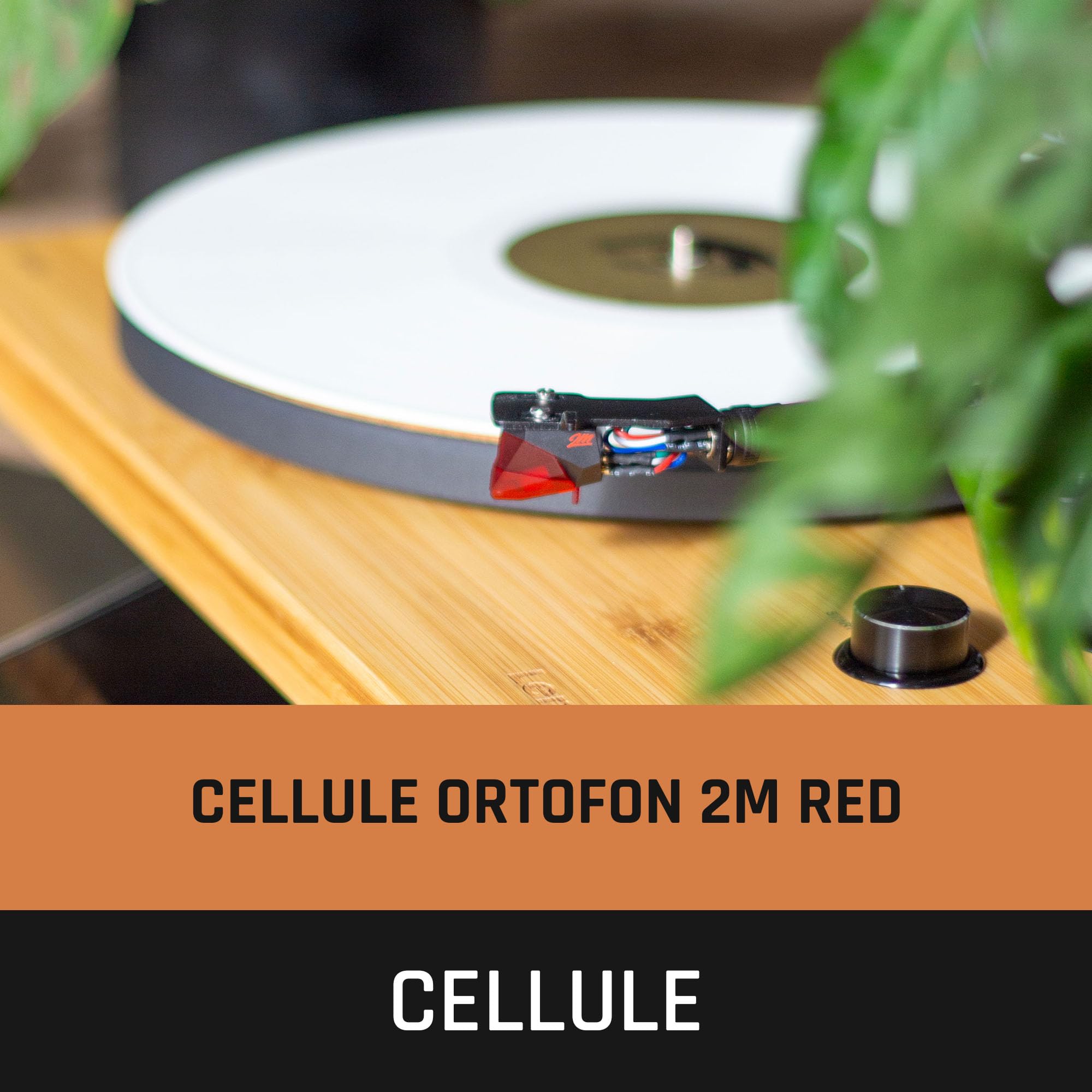 Lenco LBT-335BA Tourne-Disque avec Bluetooth®, boîtier en Bambou véritable et Micro 2M Red