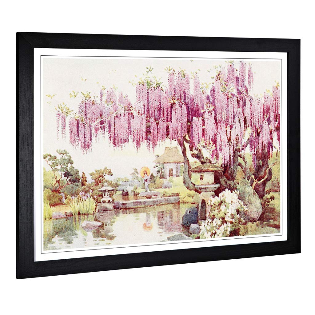 Big Box Art Framed Print of Ella Du Cane Japanese Oriental The Old Wisteria Design | Wall Art Picture| Home Decor for Kitchen, Living Room, Bedroom, Hallway, Black, A2 / 24.5x18 Inch / 62x45cm