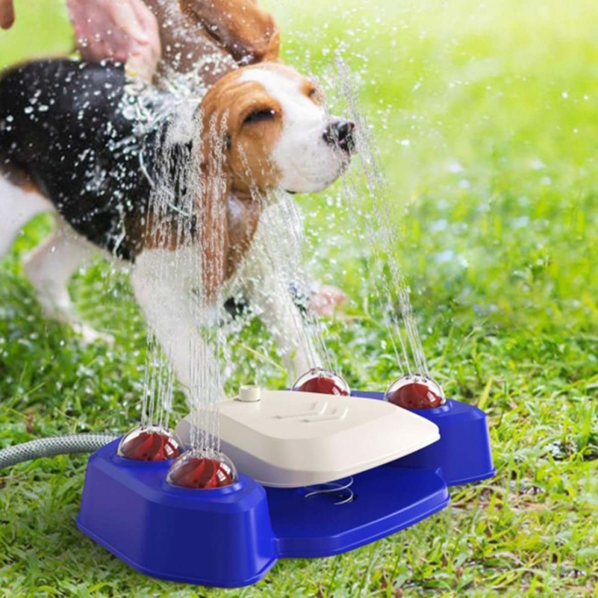 minkissy Bebedero Perro Automático Rociador De Agua Juguete De para Mascotas