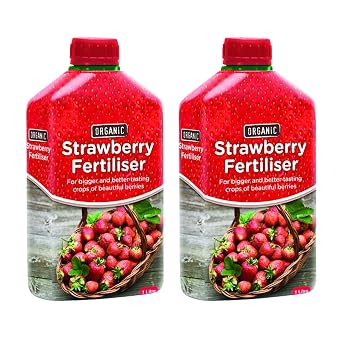 Vitax Organic Liquid Strawberry Feed 1L, Natural High Potash Fertiliser for Healthy Growth, Rich Flavour and Increased Yields of Strawberries and Soft Fruits Ideal for Grow Bags Red - 2 Pack
