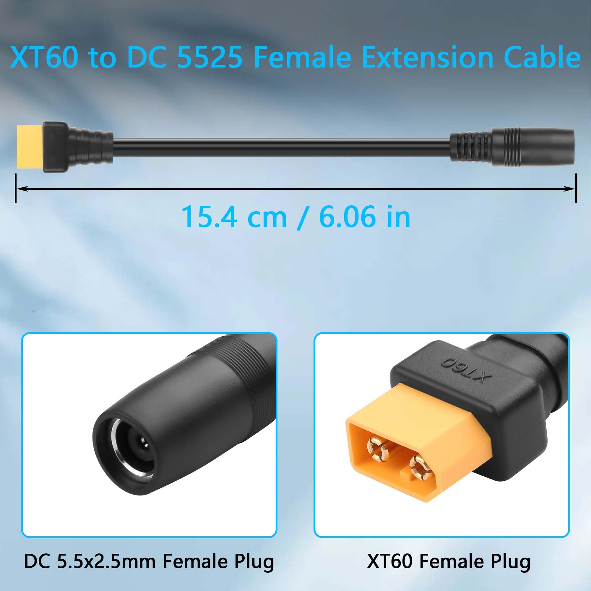 Amazon.com: GINTOOYUN 2 PCS XT60 to 8mm Adapter Cable DC8020 to
