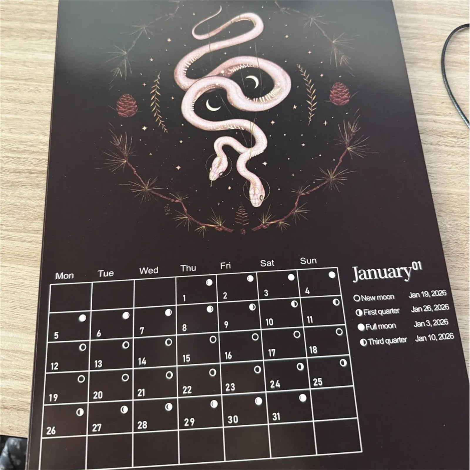 Calendario Calendario 2026 della Foresta Oscura Art House Lunare