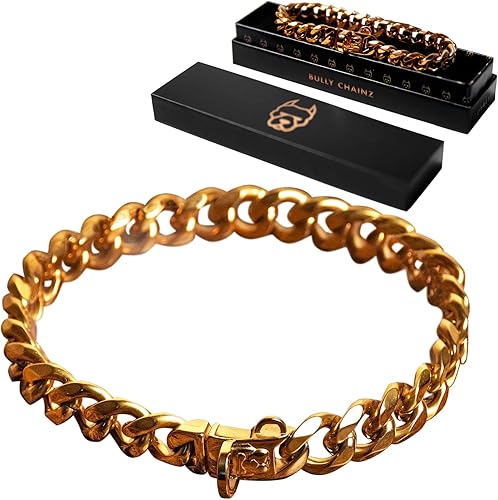 Bully Chainz Ares - Collar de metal con cadena de eslabones de oro pequeño con diseño de hebilla, cadena de oro de 18 quilates, fuerte y resistente,