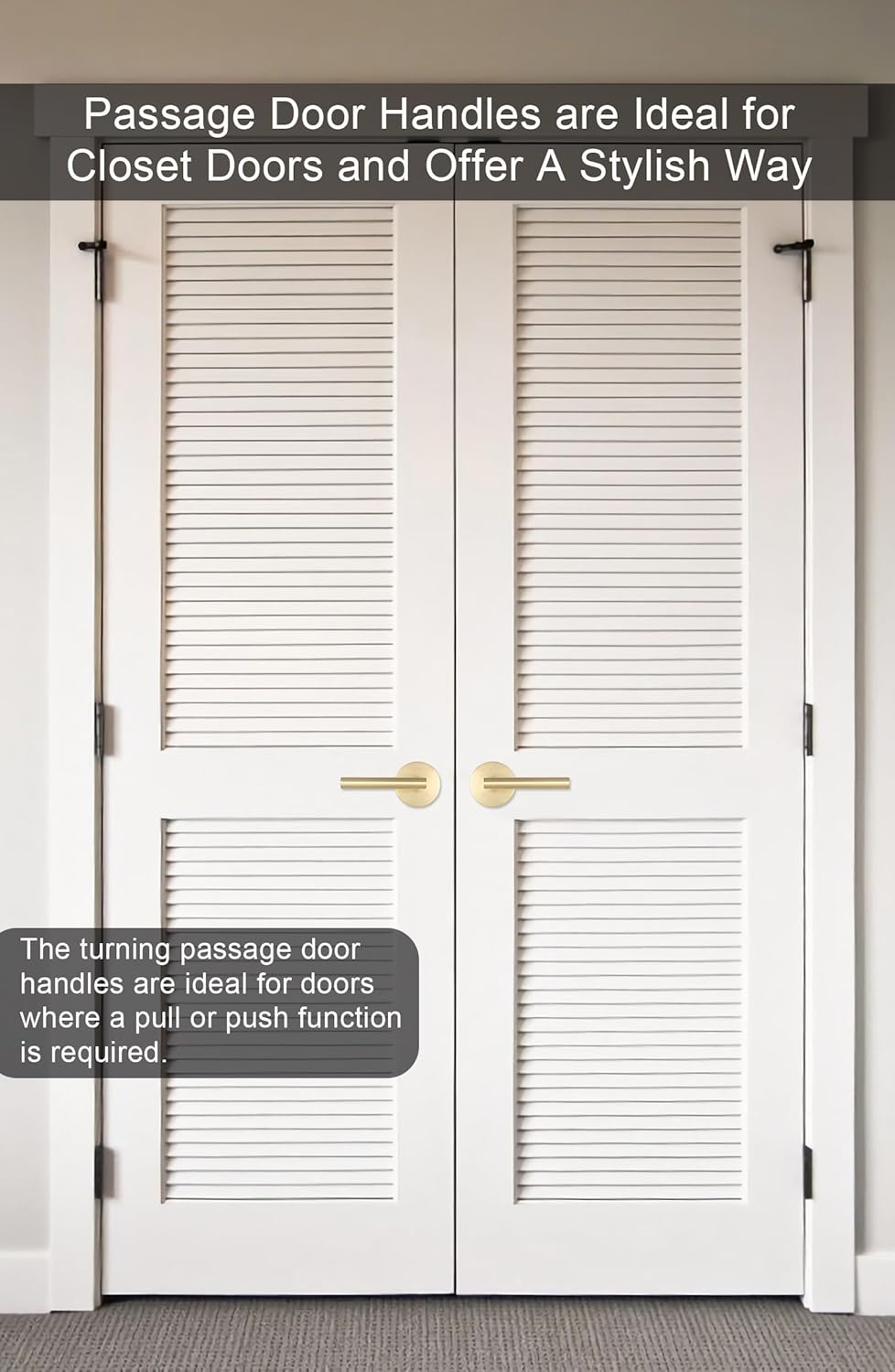 goldenwarm Privacy Closet Door Handles 10 Pack