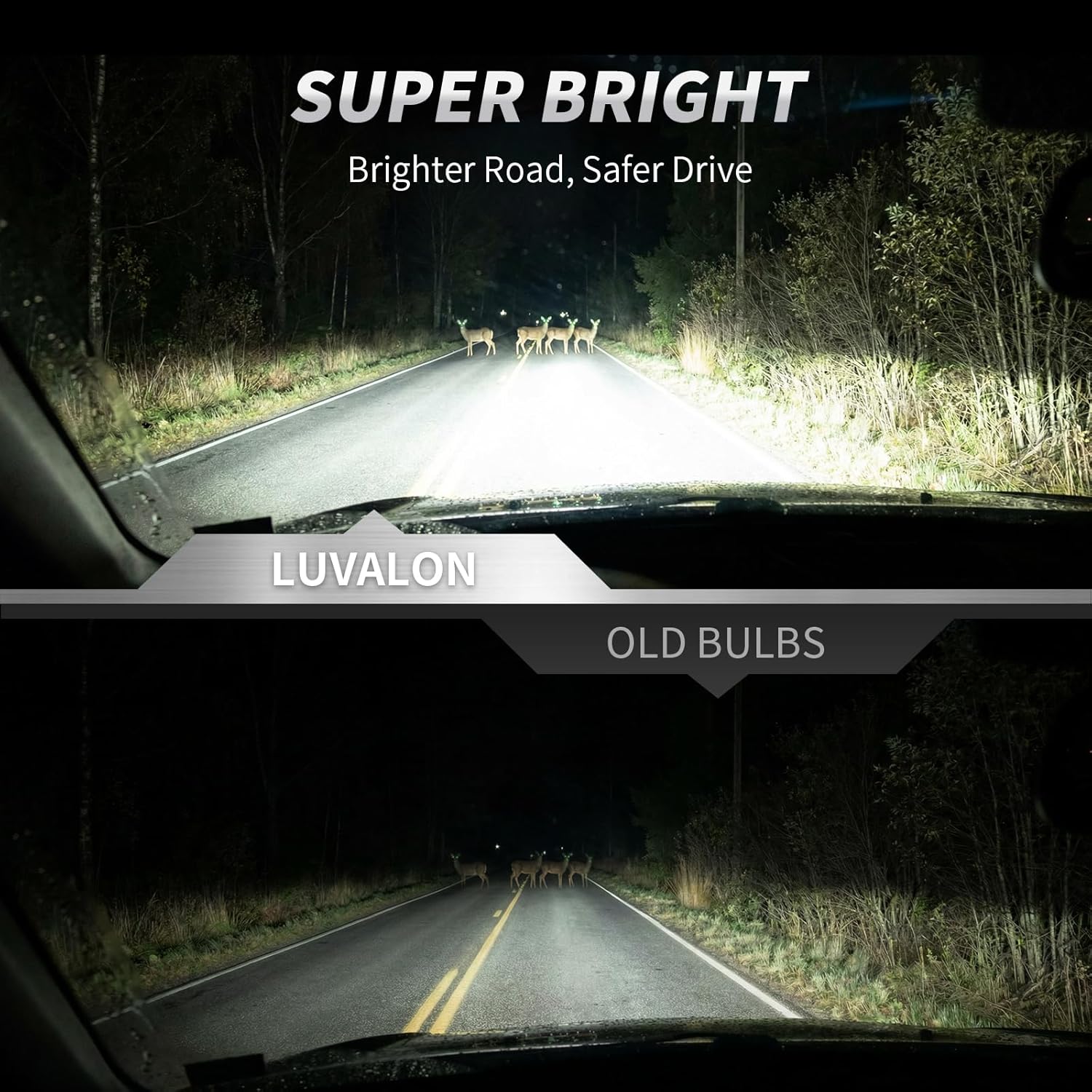 H11 Halogen Headlight Bulb 10 Pack 12V 55W H11 Bulb High Beam Low Beam and Fog Light Replacement Automotive Headlight Bulbs